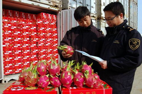 食品進(jìn)口報關(guān)全流程解析 東勝物流為您梳理必備資料與注意事項